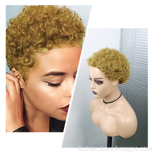 Wholesale Short Curly Hair Wigs Pixie Cut Brazilian Human Hair For Black Women Natural Black 99J 150% Density Glueless Wigs